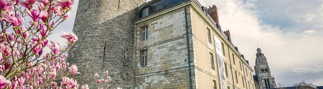 background-tours