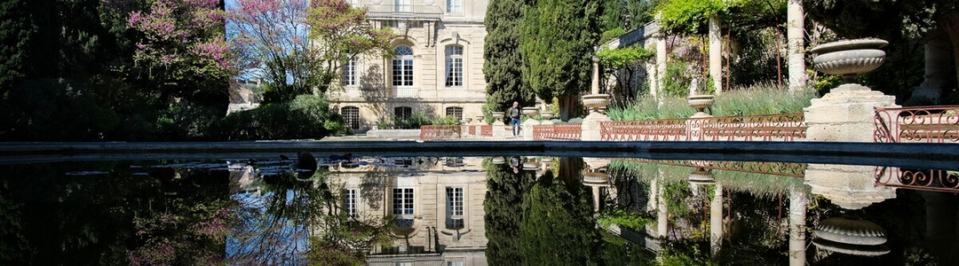 background-avignon