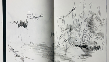 | Stage : Le dessin comme espace d’exploration (séance 3/4)  |