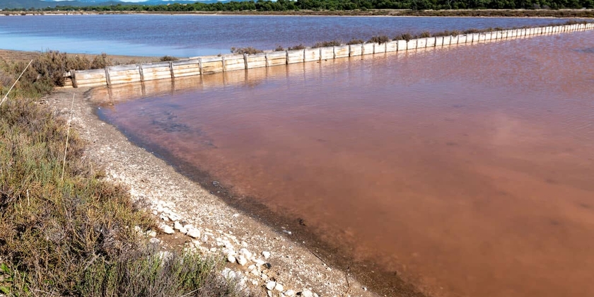 ad5f67a3a24a453d829eca0368aaeda7