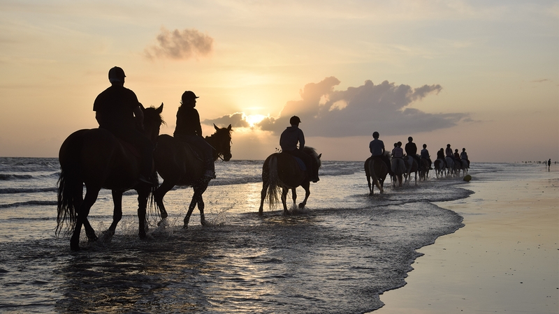 4cb71d11e8c941bab7331713ca181df2