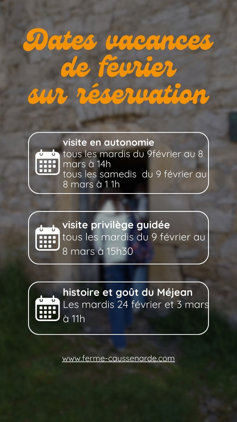 c761e15ca5c44408a93ec450429707d1