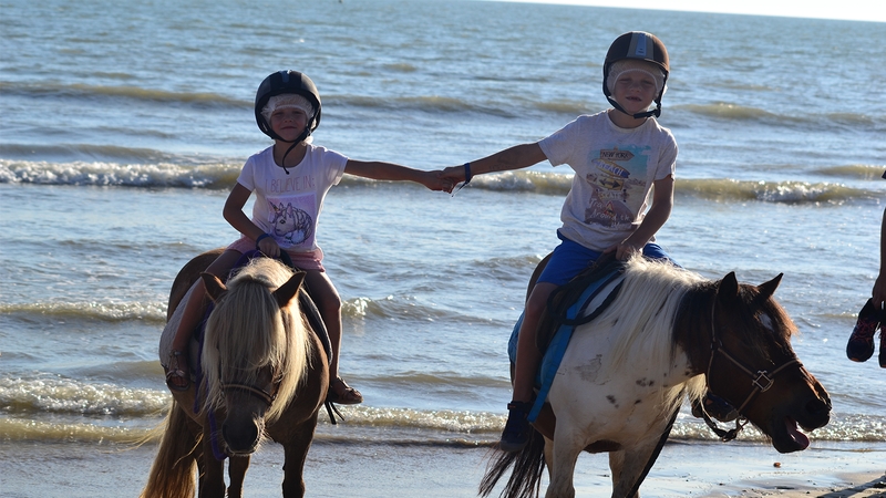 b33254feef194c1a8b6618f87e3650aa