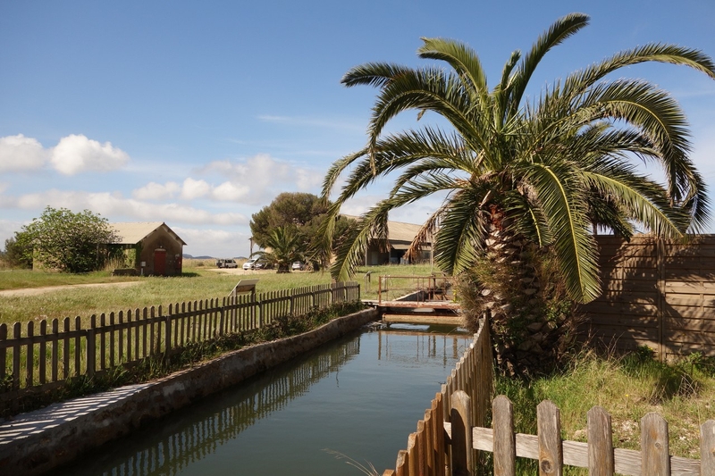 91aaa9ccc85746698afce474282a60a9