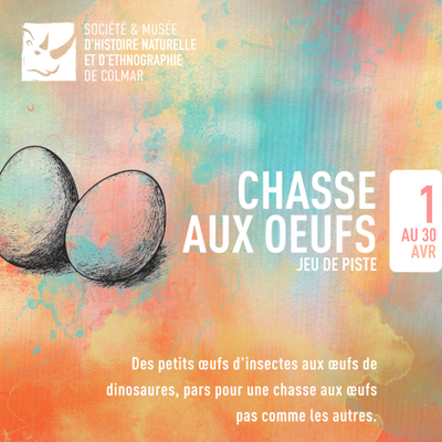 039d27145e75474ba3d9c6b858162e39