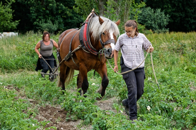 3473dc8c9ebb452abde8c47b0f7bc17b