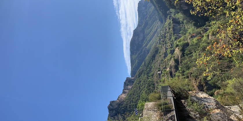 9daa5af2543e4199903c5f1402c5ffc4