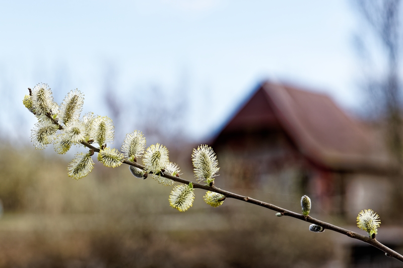 9083ef11eb4045aa9dcb8fc446466d82