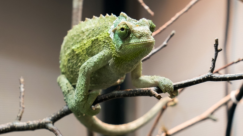 2a0e9459ccea4d4c80f4664bd6389ac6