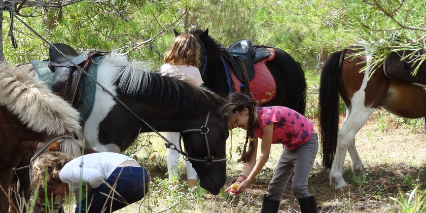 2723176904fb41c6a33ff4c7751c9a27