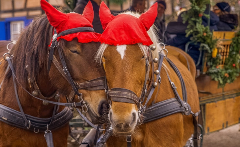 5cfb3d78f675421da411201b6e937072