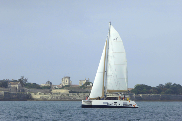 fe3c1a6e865d43d08b2fedc3b9bec565