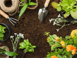 | Des solutions faciles et naturelles pour mon jardin, c’est possible ! |