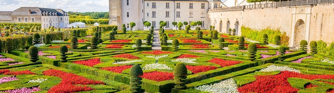 background-tours