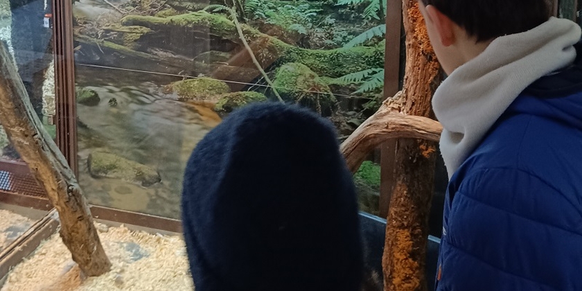 985e9be3a0bc489ba9f564b4e7f383ca