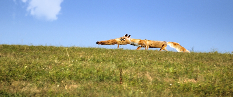 c2f79a3c6ce348bda25c43a765b83377