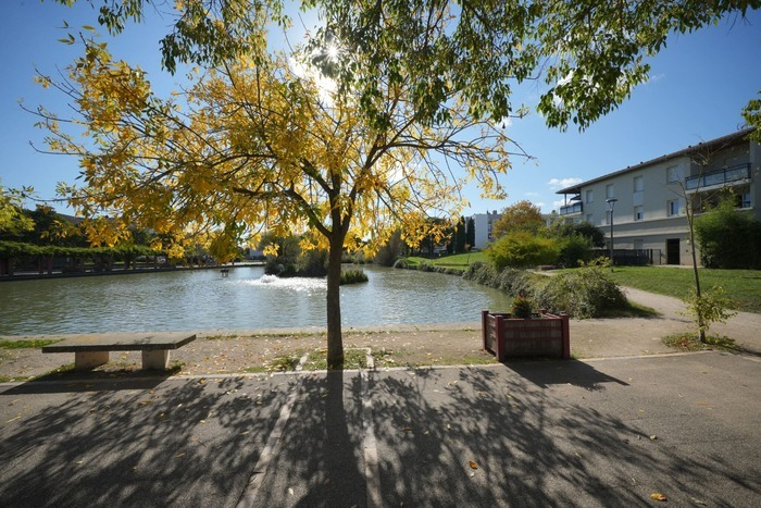 d762079b0b1449049606a5bafa4d4239