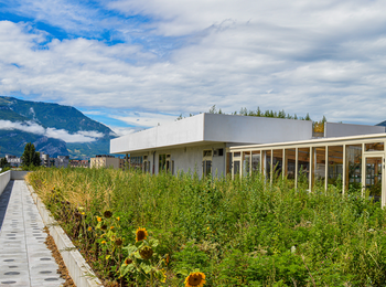 f70bac9ed54f4d2780c7541a40459a76