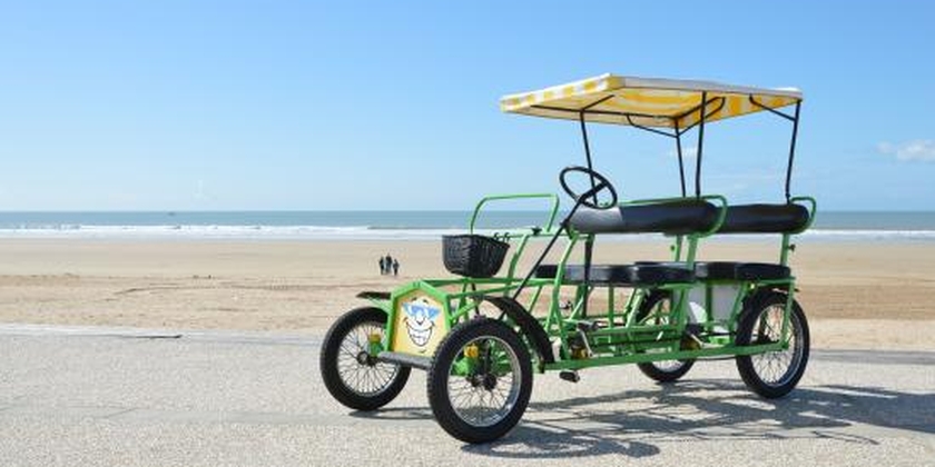 Rosalie hire -10