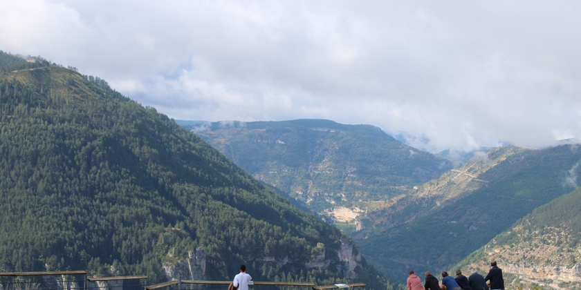 5b0994a6f6fa49e38361d16628670745