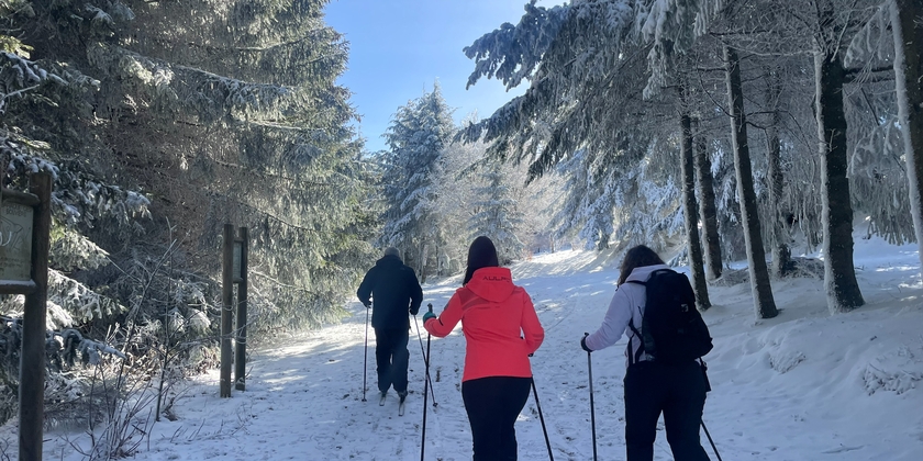 c3be6371e5c54616b7f6c9d78ae9d814