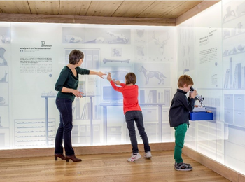 be06833e6d2a4fe0b64c253c67696ddc