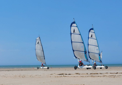 -20% Char à voile