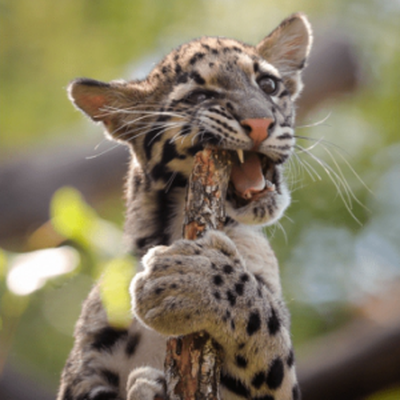 91300ef880b34df6841955a89f133292