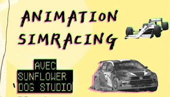 | Simracing - simulation de conduite sur jeux vidéo |