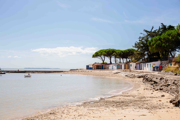 93854cb679e14b049e9e108b89e0a3eb