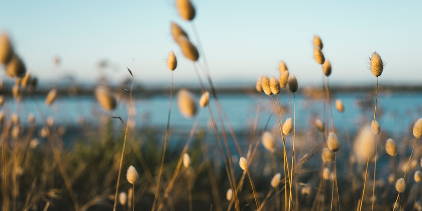 2c2da82b59bb4411a5f6ee5618863964