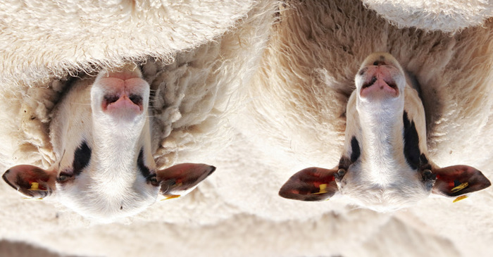 fc64d5d6d81f48b9b4d7d059e390f991