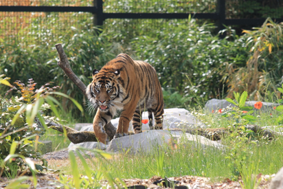 7812f5321ada4312bbbeeba85366acc5