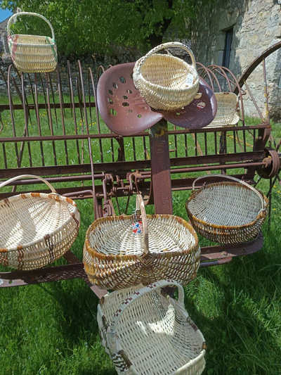 Discovery of basketry