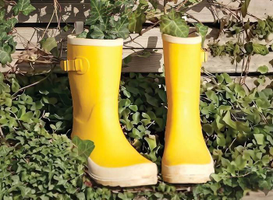 | Les Balades de Tistou |