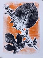 | Atelier : monotypes de plantes |