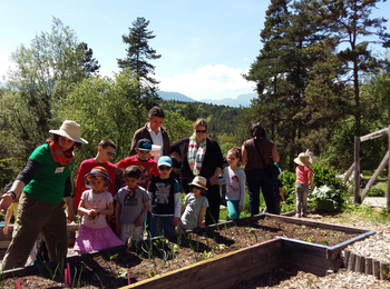 26833873aa1e4da5b2aff9d75ca79ab6