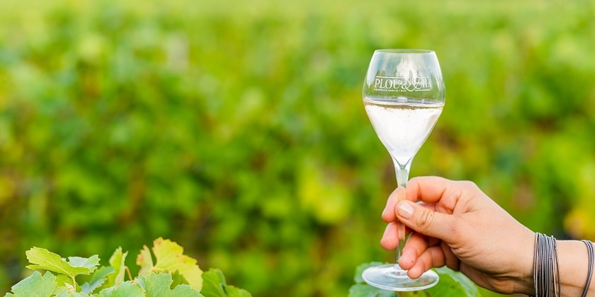 592e2b9ecbf741f4bd3ae0b52cafc059