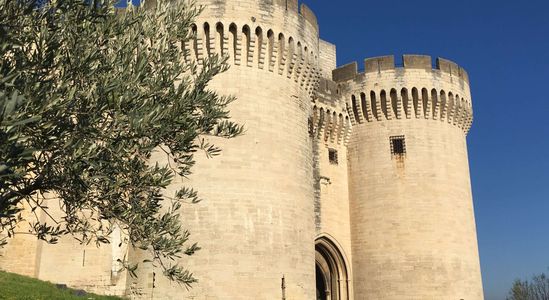 Visite du Fort St André à Villeneuve lez Avignon 