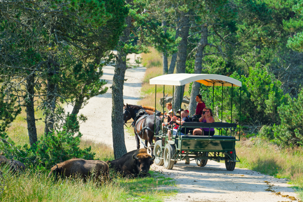 fedde0a480db48b5838b747c9282f851