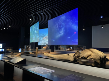 a1dbafb1426e4bcda8829342753c8298