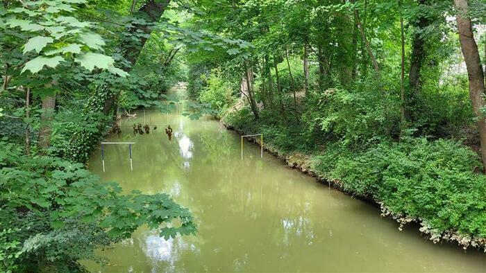 68438518a335469e9583c9e651591616