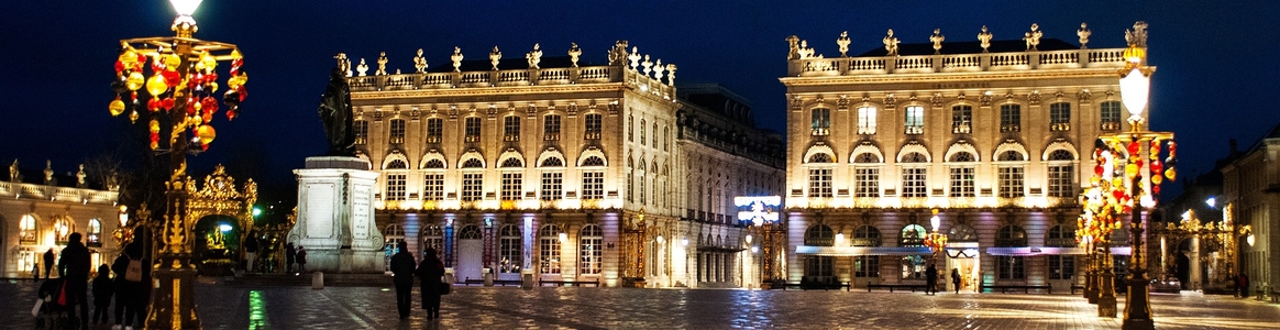 Nancy City Pass