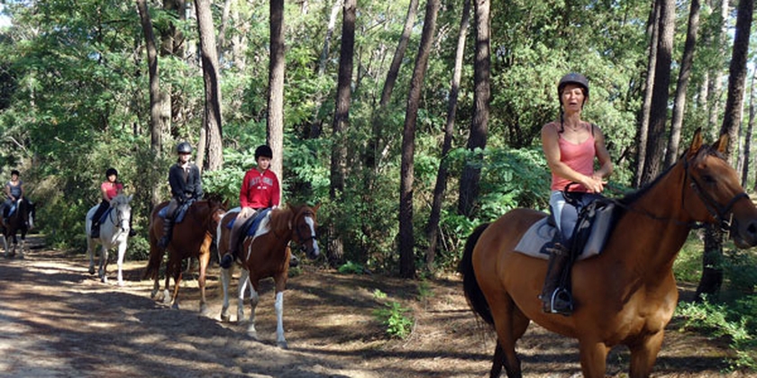 a005b4a5bd694f29b8bbc951f19906b3