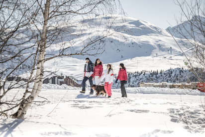 0cb954d32ff94d7ead482b7f5d1a390b