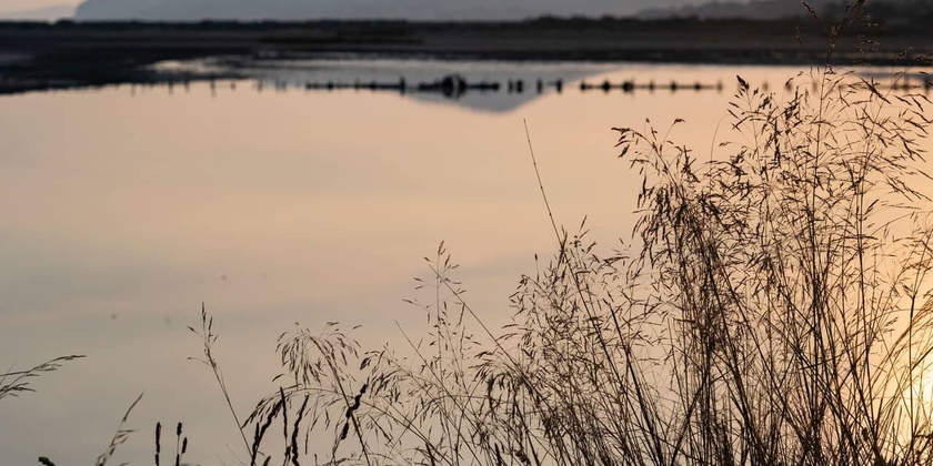 ce84c7b95a594bc797abb9b3f510151e