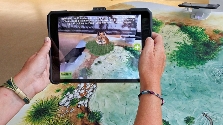 8e4cdec840ce4a83b298e1e080c88eae