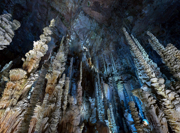 c74d2f7cf2774a468622940a583e4333