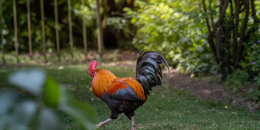 e55fedd83bce468ea01e7723f084fc92