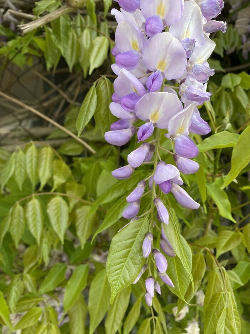 5fede079815d4594a099a75baa2f140d